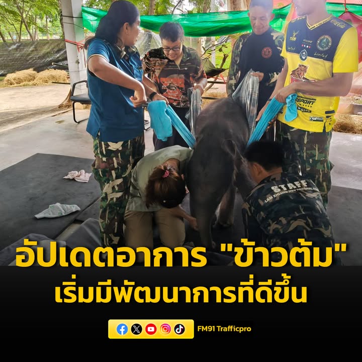 ศูนย์พัฒนาการจัดการสัตว์ป่าบึงฉวากและเขตห้ามล่าสัตว์ป่าบึงฉว-|-2025-09-27-03:25:00