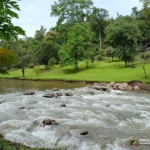 ลานกางเต็นท์ที่ทำการอุทยานแห่งชาติคลองวังเจ้า-นักท่องเที่ยวส