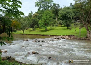 ลานกางเต็นท์ที่ทำการอุทยานแห่งชาติคลองวังเจ้า-นักท่องเที่ยวส