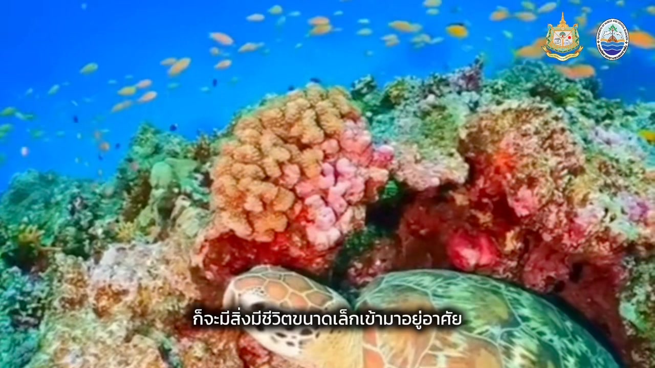 ️-ตอบทุกคำถาม-ทันทุกภารกิจ-คลายข้อสงสัยให้ประชาชน-ทะเล-️