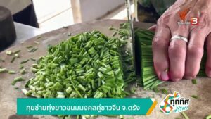 กุยช่ายทุ่งยาว-ขนมมงคลคู่ชาวจีน-จ.ตรัง-ข่าวใต้แลได้ที่เรา-#