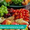 เปิดโรงเรียนเบาหวานคณาราม-จ.ตรัง-ข่าวใต้แลได้ที่เรา-ข่าวที