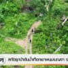 สกัดรุกป่าต้นน้ำเทือกเขาพนมเบญจา-จ.กระบี่-ข่าวใต้แลได้ที่เร