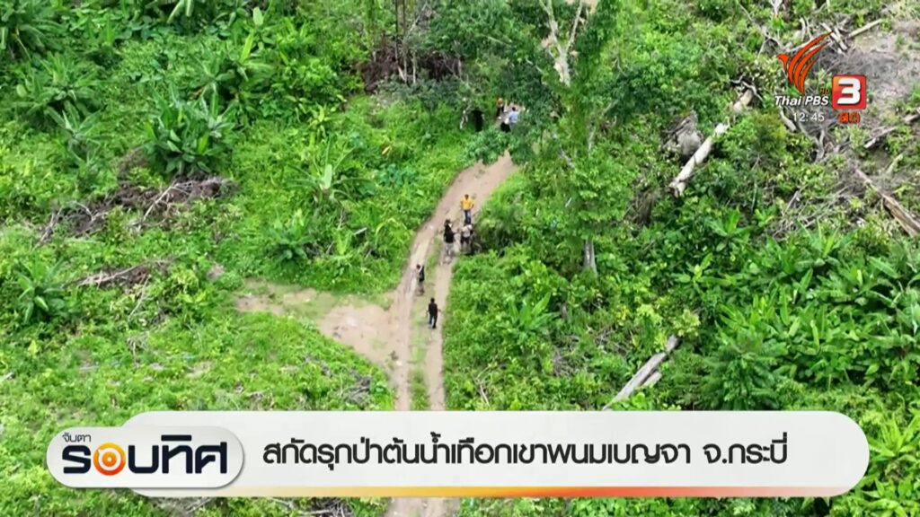 สกัดรุกป่าต้นน้ำเทือกเขาพนมเบญจา-จ.กระบี่-ข่าวใต้แลได้ที่เร