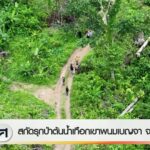 สกัดรุกป่าต้นน้ำเทือกเขาพนมเบญจา-จ.กระบี่-ข่าวใต้แลได้ที่เร