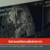 อิสราเอลสกัดกองเรือช่วยกาซา-ข่าวใต้แลได้ที่เรา-ข่าวที่คุณว