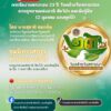-เชิญรับชมการถ่ายทอดสด-การจัดงานครบรอบ-23-ปี-วันคล้ายวันสถา