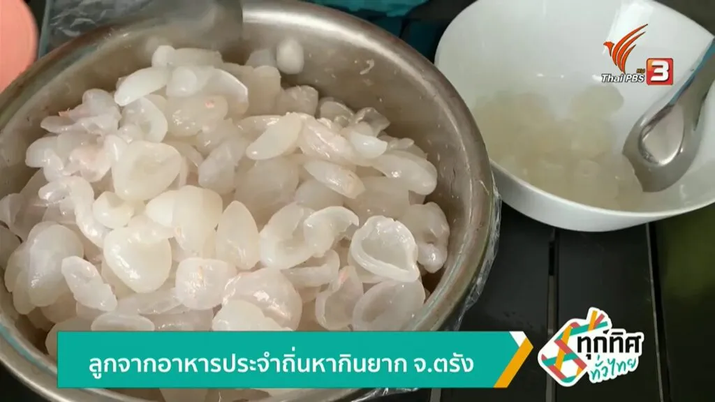 ลูกจากอาหารประจำถิ่นหากินยาก-จ.ตรัง-ข่าวใต้แลได้ที่เรา-#tha