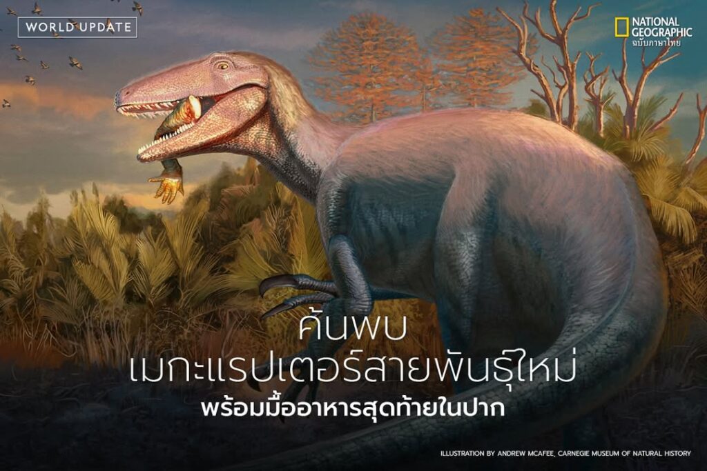 ทีมนักบรรพชีวินวิทยาค้นพบฟอสซิลไดโนเสาร์กินเนื้อพันธุ์ใหม่ชื