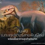 ทีมนักบรรพชีวินวิทยาค้นพบฟอสซิลไดโนเสาร์กินเนื้อพันธุ์ใหม่ชื