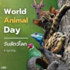 4-ตุลาคม-วันสัตว์โลก-(world-animal-day)-เพื่อให้เราได้เห็น