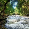 ชุ่มฉ่ำกับสายน้ำไหลเย็นทั้งปี-ที่สวนรุกขชาติน้ำตกสำโรงเกียรต