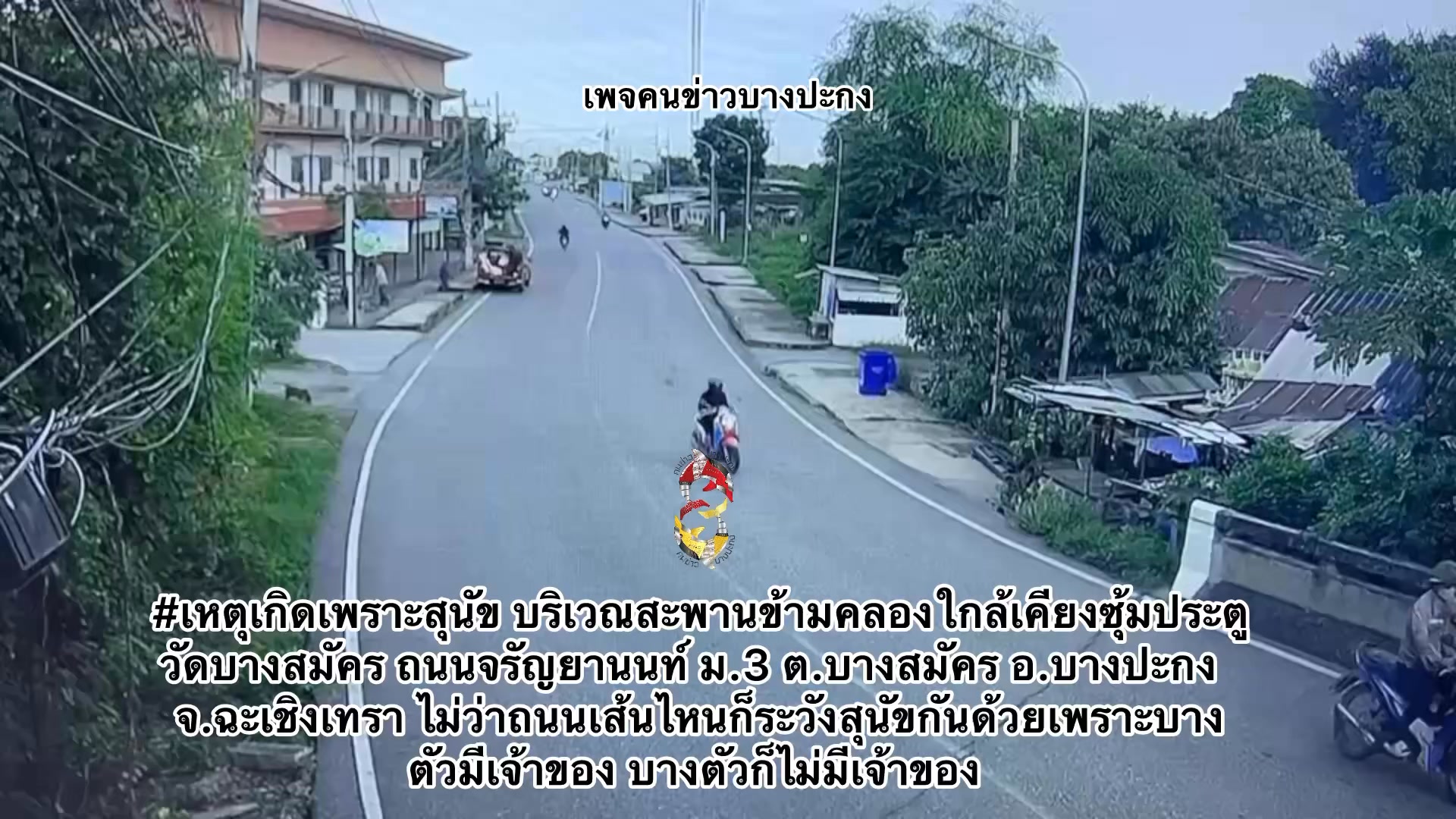 เหตุเกิดเพราะสุนัข-บริเวณสะพานข้ามคลองใกล้เคียงซุ้มประตูวัด-|-2025-10-07-03:13:00