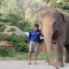 บ้านช้างตระกูลแสน-อำเภอแม่แตง-จังหวัดเชียงใหม่-จัดกิจกรรม-ทำ