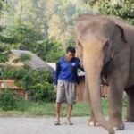 บ้านช้างตระกูลแสน-อำเภอแม่แตง-จังหวัดเชียงใหม่-จัดกิจกรรม-ทำ