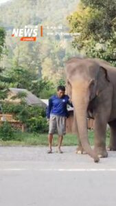 บ้านช้างตระกูลแสน-อำเภอแม่แตง-จังหวัดเชียงใหม่-จัดกิจกรรม-ทำ
