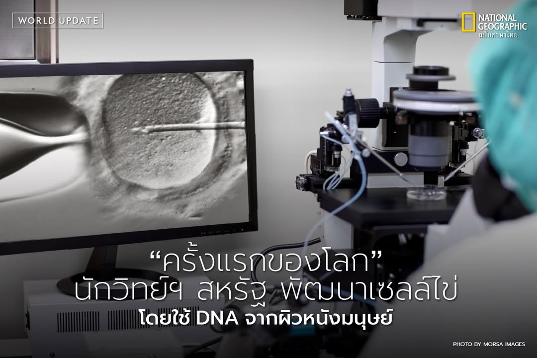 ทีมนักวิทยาศาสตร์จากมหาวิทยาลัย-oregon-effectively-being-&-science-univ