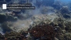 กรมทะเล-โดย-ศวกองทัพอากาศ-ร่วม-atmec-และศูนย์จัดการพื้นที่คุ้มครองห