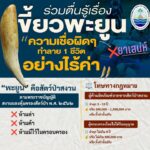 -พะยูน-สัตว์ทะเลหายาก-สมบัติล้ำค่าคู่ทะเลไทย-ห้ามล่า-ห้ามค้