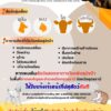อั่นประกาศๆ-เด้อ-ตอนนี้-พ้อหมาเป็นว้อ(โรคพิษสุนัขบ้า)-อยู่