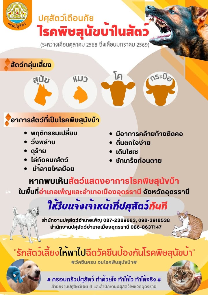 อั่นประกาศๆ-เด้อ-ตอนนี้-พ้อหมาเป็นว้อ(โรคพิษสุนัขบ้า)-อยู่