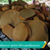 “ดานเฉียงไม้มะขาม”-คู่ครัวชาวใต้-จ.นครศรีธรรมราช-ข่าวใต้แลไ