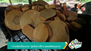 “ดานเฉียงไม้มะขาม”-คู่ครัวชาวใต้-จ.นครศรีธรรมราช-ข่าวใต้แลไ