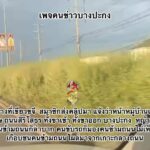 เกาะกลางที่เขียวขจี-สมาชิกส่งคลิปมา-แจ้งว่าหน้าหมู่บ้านเอื้-|-2025-10-11-07:58:00