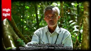 สารคดีคนซ่อมรัง-เพื่อนกสร้างป่า-ตอนที่-5-ลูกไม้กำหนดชะตากรรม