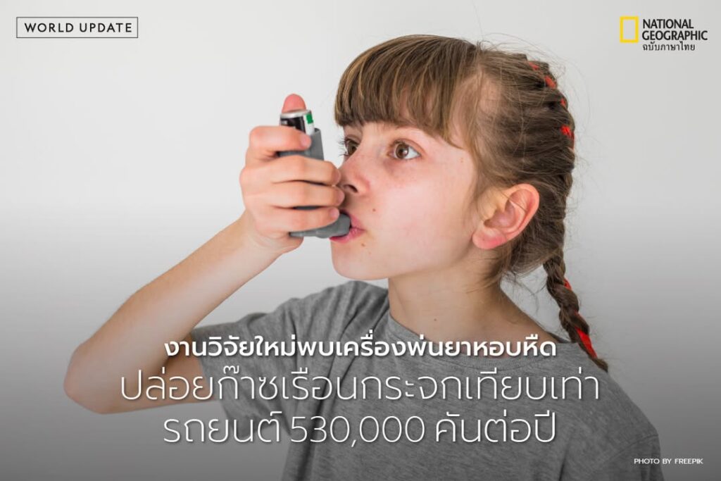 ยาสูดพ่น-(inhalers)-ที่ใช้รักษาโรคหอบหืดและโรคปอดอุดกั้นเรื้