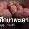 วิทยาลัยเกษตรและเทคโนโลยีพะเยา-ส่งเสริมให้นักศึกษาเรียนรู้วิ