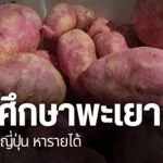 วิทยาลัยเกษตรและเทคโนโลยีพะเยา-ส่งเสริมให้นักศึกษาเรียนรู้วิ