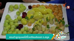 สอนทำลูกชุบผลไม้จิ๋วเตรียมส่งออก-จ.สตูล-ข่าวใต้แลได้ที่เรา