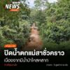 (15/10/68)-…อุทยานแห่งชาติดอยสุเทพ-ปุย-จ.เชียงใหม่-ปิดน้ำต