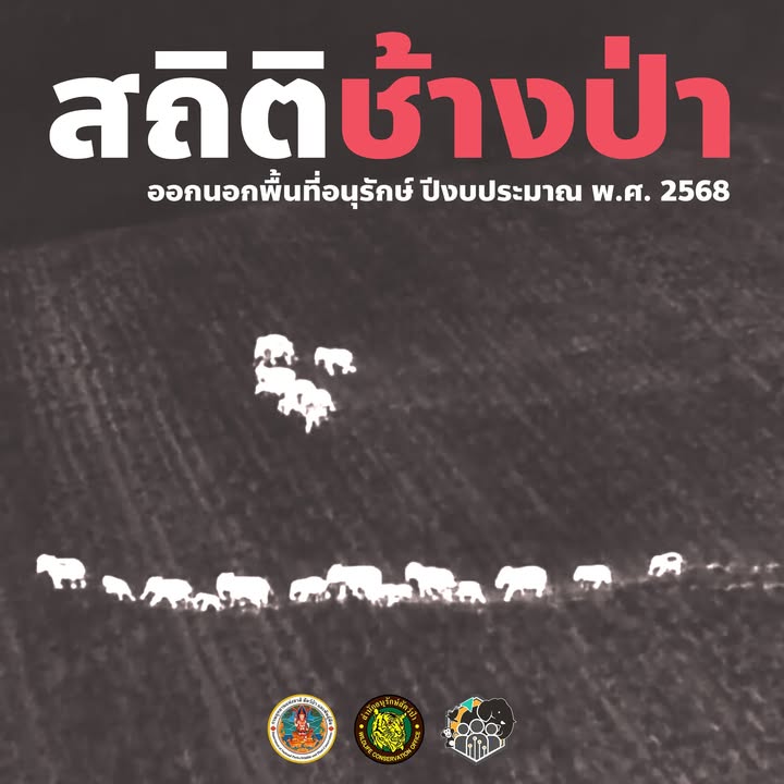 สถิติช้างป่าออกนอกพื้นที่ป่าอนุรักษ์-ประจำปีงบประมาณ-พศ.-25