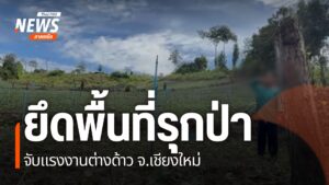 ตำรวจตรวจยึดสวนส้ม-และจับแรงงานต่างด้าว-พื้นที่อำเภอฮอด-จังห