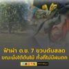 ฟ้าผ่าเด็กชาย-7-ขวบดับสลด-ขณะนั่งเล่นใต้ต้นไม้กับเพื่อน-ทั้-|-2025-10-18-05:43:00