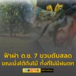 ฟ้าผ่าเด็กชาย-7-ขวบดับสลด-ขณะนั่งเล่นใต้ต้นไม้กับเพื่อน-ทั้-|-2025-10-18-05:43:00