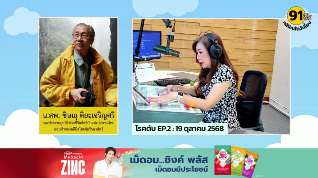 โรคตับ-ep.2-:-fm91-คลินิกสัตว์เลี้ยง-:-19-ตุลาคม-2568-fm91-ค-|-2025-10-19-06:30:00