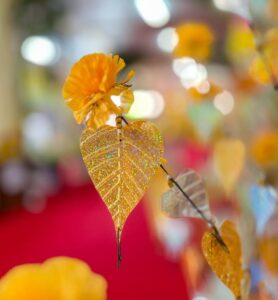 ðª·-เทศกาลงานบุญกฐิน-บุญใหญ่ปีละครั้ง-ช่วงนี้หลายวัดในสระบ