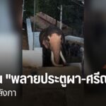 ประเทศไทย-มีความผูกพันกับช้างมาอย่างยาวนาน-ไม่เพียงเป็นสัตว์