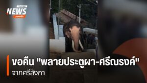 ประเทศไทย-มีความผูกพันกับช้างมาอย่างยาวนาน-ไม่เพียงเป็นสัตว์
