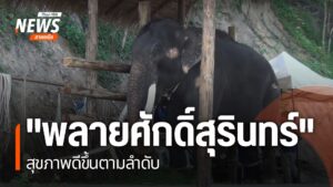 เป็นเวลากว่า-2-ปีแล้วหลังช้างพลายศักดิ์สุรินทร์-ถูกส่งกลับจา