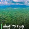 เพิ่มป่าอนุรักษ์อีก-650,000-ไร่-เพิ่มความอุดมสมบูรณ์ป่าที่มี