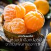 งานวิจัยใหม่ที่นำเสนอในการประชุม-european-respiratory-societ