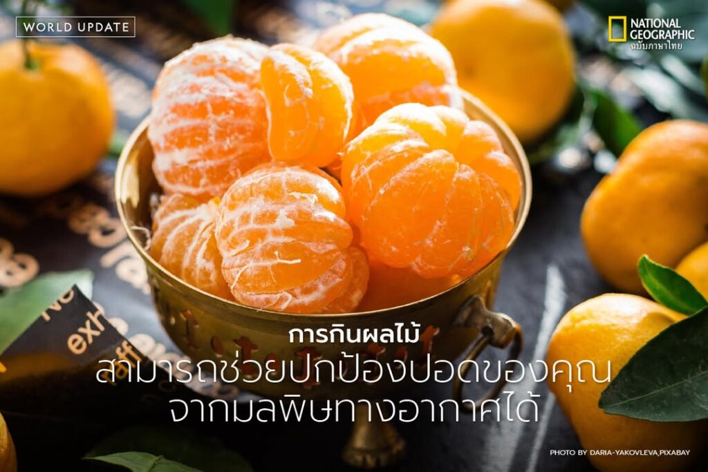 งานวิจัยใหม่ที่นำเสนอในการประชุม-european-respiratory-societ