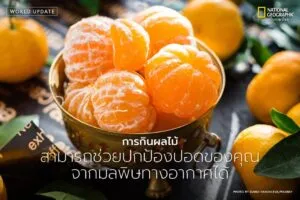 งานวิจัยใหม่ที่นำเสนอในการประชุม-european-respiratory-societ