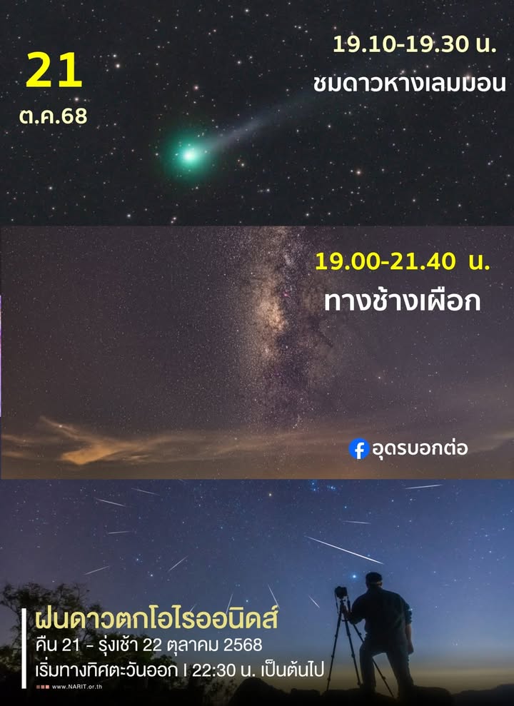 มีนำเขาบ่หนอ-คนใจดีสิซวนไปเบิ่งฝนดาวตกคืนนี้-นั่งกินเบียร์