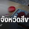 จังหวัดเชียงใหม่เป็นหนึ่งในพื้นที่นำร่องแก้ไขปัญหายาเสพติดอย