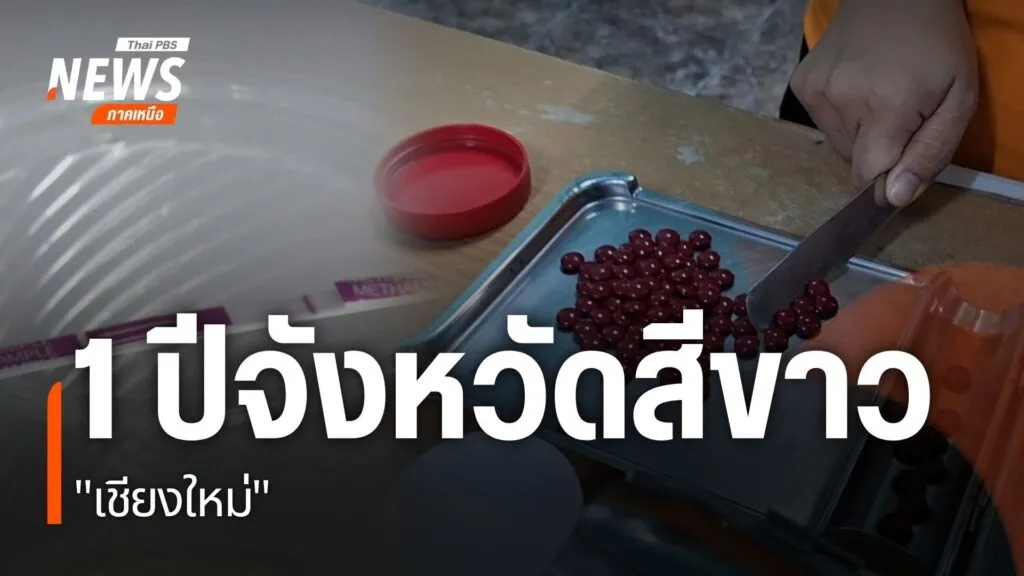 จังหวัดเชียงใหม่เป็นหนึ่งในพื้นที่นำร่องแก้ไขปัญหายาเสพติดอย